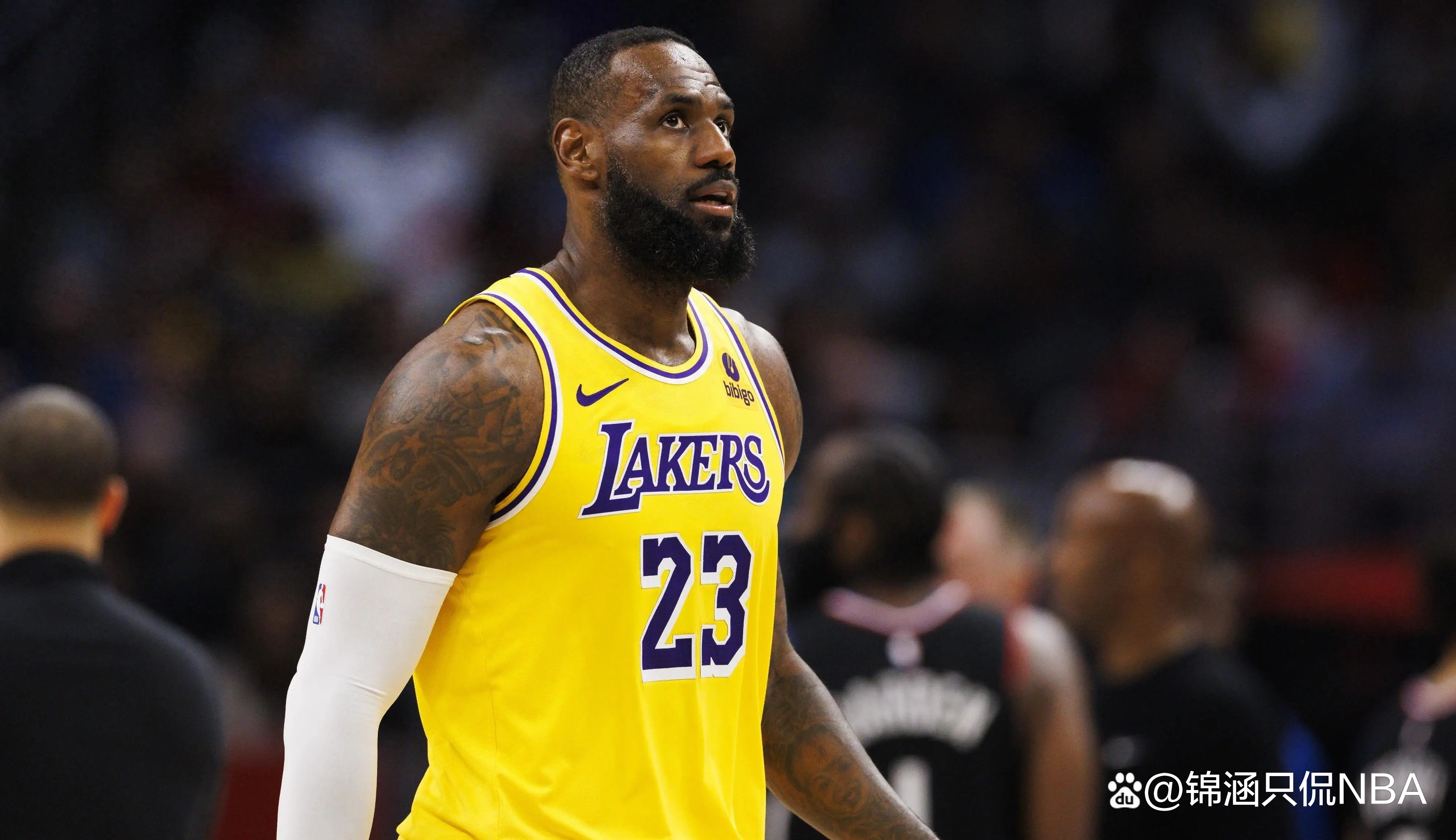 关于开拓者队全面爆发，向冠军冲刺的信息