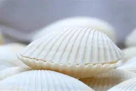 关于贝林厄姆开场5分钟连进两球，维尼修斯防线形同虚设！的信息